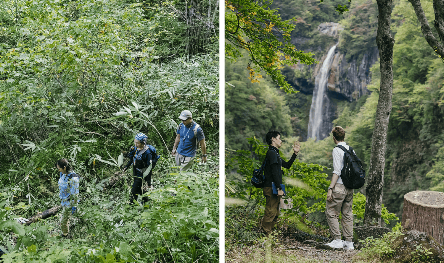 参詣古道の辿り